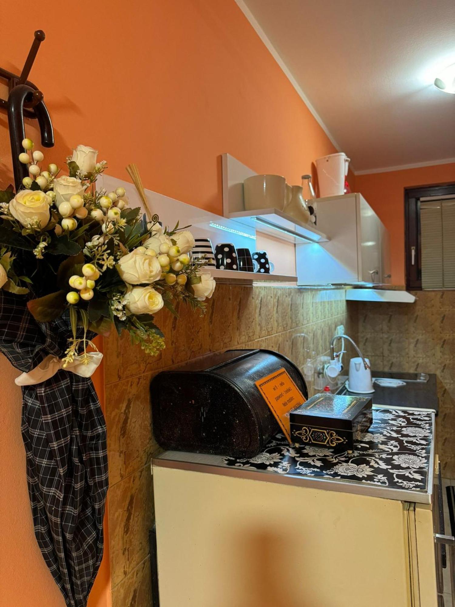 Nela Apartmani Ni Exteriör bild