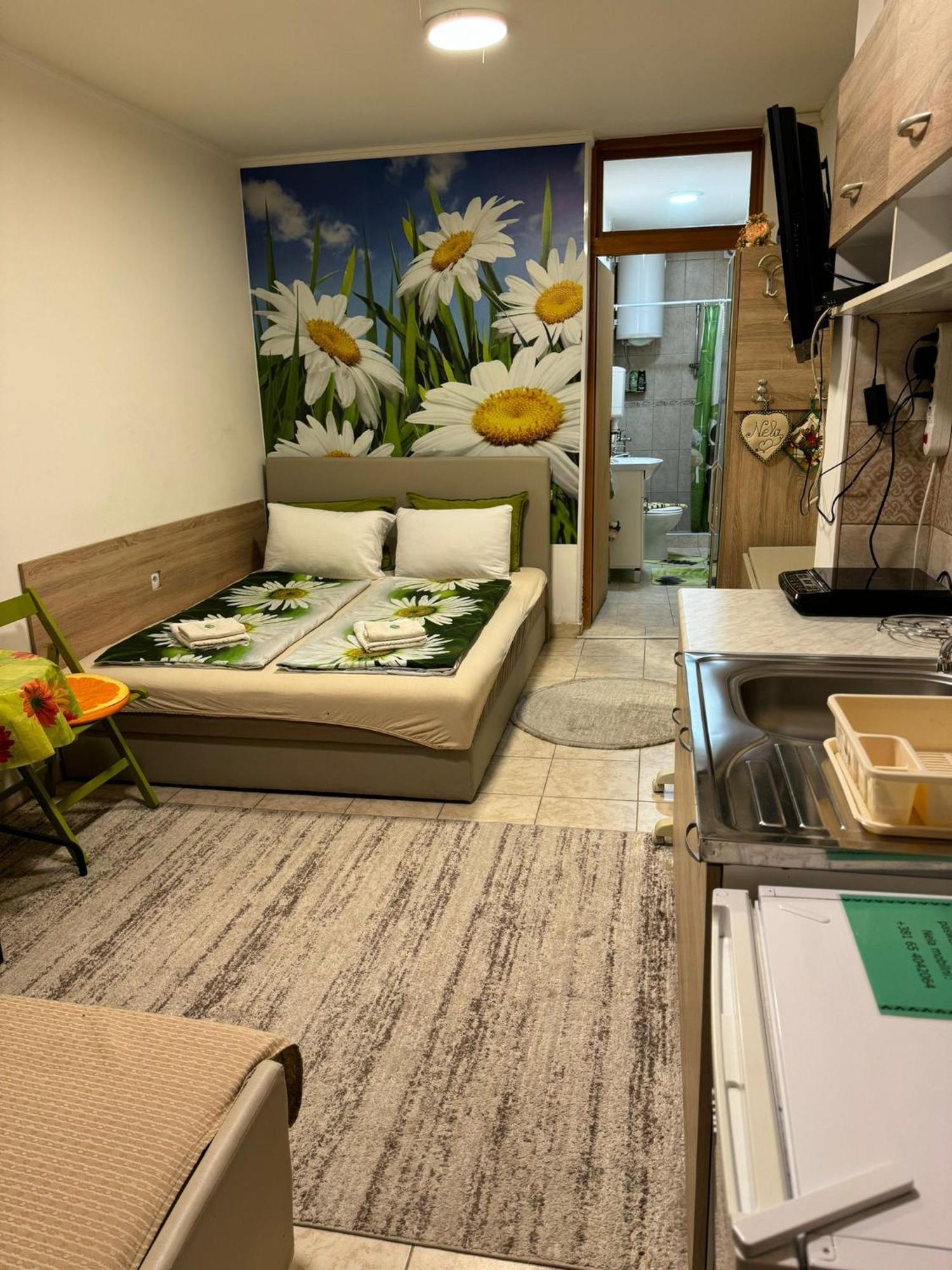 Nela Apartmani Ni Exteriör bild