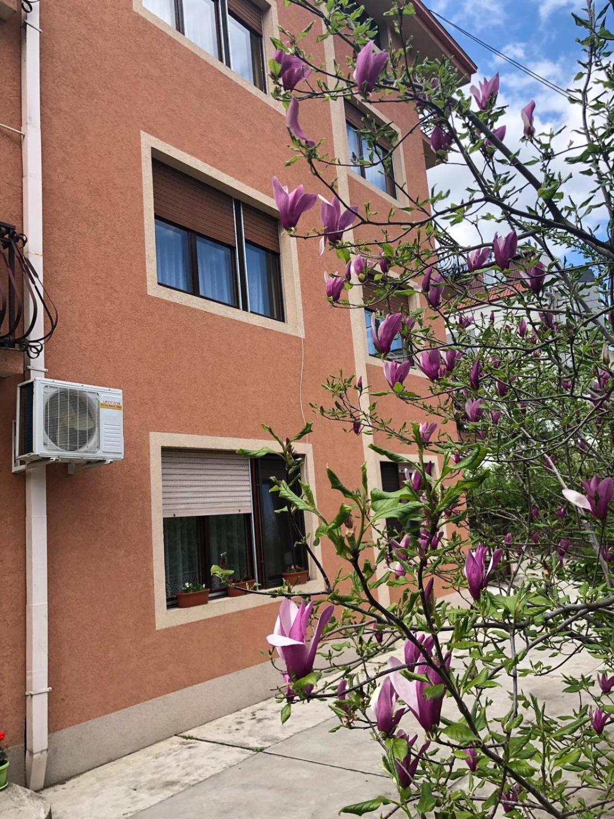 Nela Apartmani Ni Exteriör bild